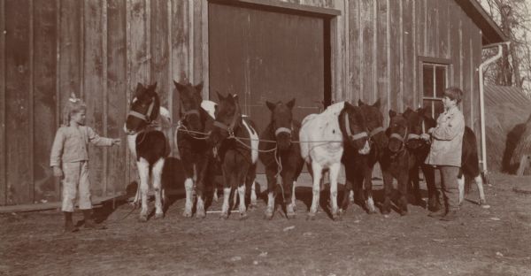 Mary and Philp La Follette with several ponies at the La Follette's Maple Bluff farm.