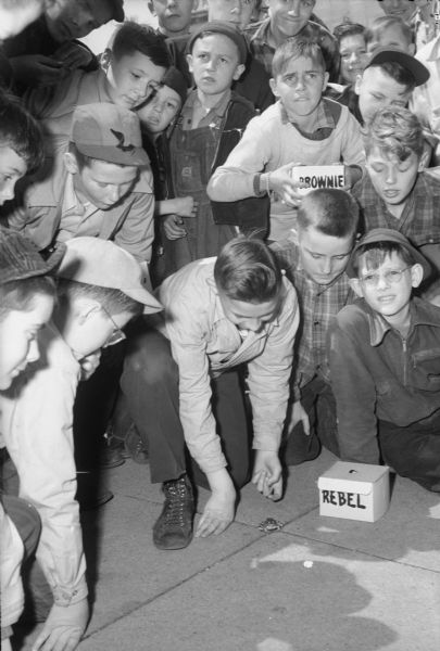 Group of boys gather around a frog at a frog jumping contest.