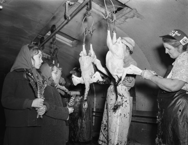 Two girls, holding turkey feathers, are watching the production line at Frank Lyons Turkey Farm, Verona, where two women workers are plucking turkeys.