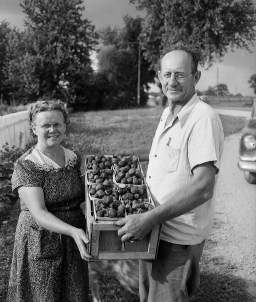 Local fruit farmers Mr. and Mrs. Martin Kapec, Route 2, Madison, display a crate of home grown strawberries the size of golf balls.