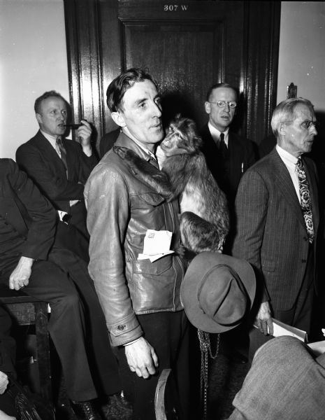 David Mackin, Milwaukee World War II veteran, is shown with his monkey, Joe, in a state capitol hearing room. The bill under discussion would allow anyone attacked by any out of control pet animal to shoot it like a dog. The bill was inspired by the alleged antics of Joe the monkey.  David Mackin won the monkey gambling from a French merchant marine.  The monkey served as the regimental mascot in Africa, Sicily and Italy.