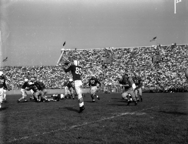 Wisconsin vs. Marquette Football Game Wisconsin end Pat O'Donahue catches a pass from quarterback Bob Petruska against Marquette in their game at Camp Randall Stadium.