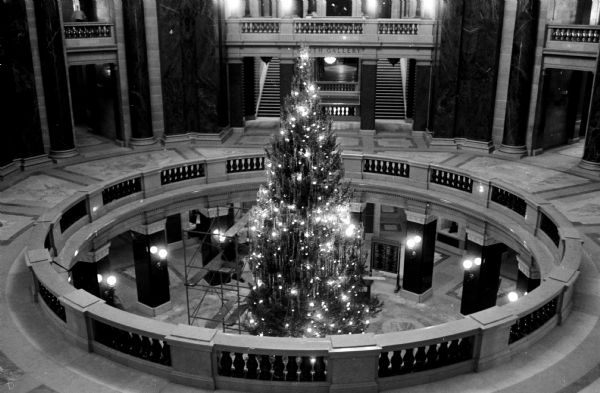 Capitol Christmas Tree Elevated view of the 35-foot tall Christmas tree heavily draped with tinsel standing in the rotunda of the Wisconsin State Capitol building.