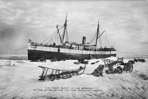 View of a ship in the spring on the edge of the ice five miles off Nome. On shore, sleds and sled dogs are in the foreground. Caption reads: "The first boat in the spring on the edge of the ice five miles off Nome."
