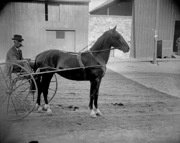 Man in a sulky, probably Eugene Greenlee, the Superintendent of Water Works, possibly pulled by a race horse.