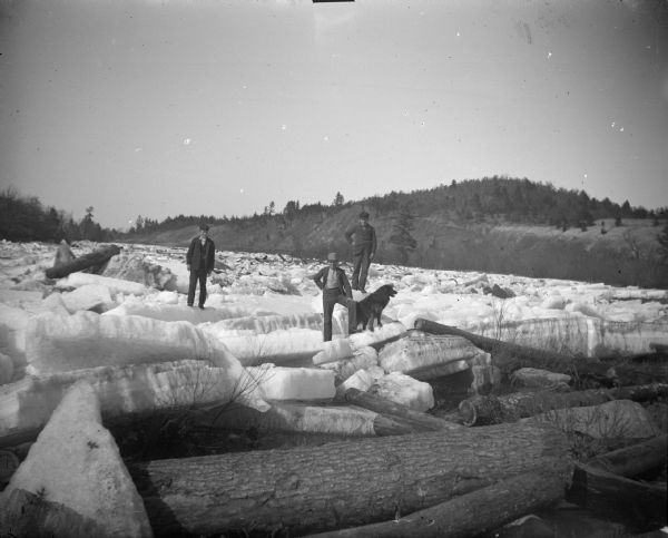 Three men and a dog standing on ice floes and looking over logs on an icy river.