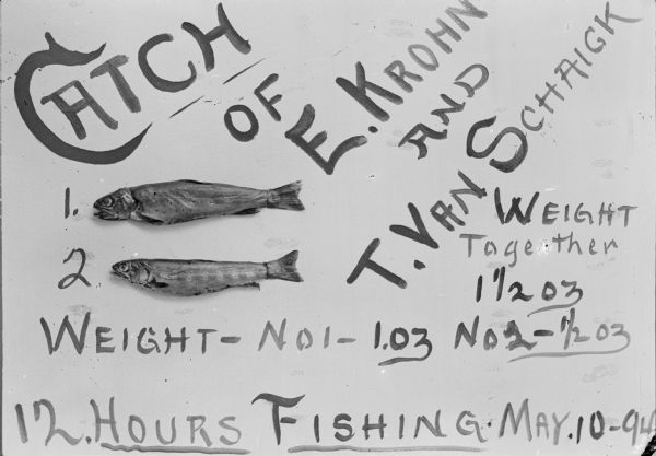 A sign displaying the catch of trout by E. Krohn and T. Van Schaick.