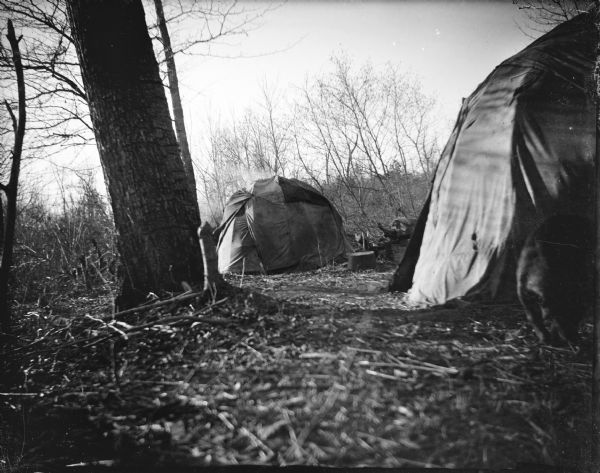 Ho-Chunk lodges among trees. Probably a Ho-Chunk encampment at the cranberry marsh.