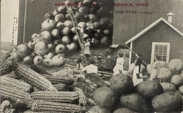 Several women and a man are outside of a barn, which is overflowing with giant onions, corn, and potatoes. A ladder is placed against the large stack of onions, and the man and one of the women are climbing to the top of the pile. Red text imprinted in the upper portion of the image reads, "How we do things at Aredale, Iowa."