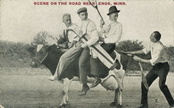 Three men ride a dairy cow on a dirt road, while a fourth pulls at the cow's tail. Of the three men, one is holding a tennis racket, one is holding a golf bag, and one has a camera in his lap. Red text at the top of the image reads, "Scene on the road near Enok, Minn."