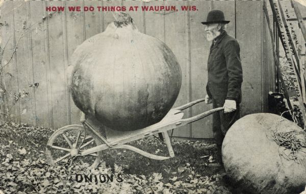 An elderly, bearded man hauls a giant onion using a dolly.  The man is wearing a black hat and white work gloves.  The background shows the side of a barn.  Red text in the upper portion bears the inscription, "How we do things at Waupun, Wis."