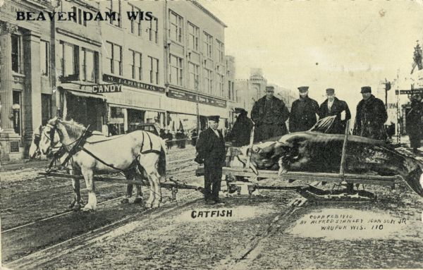 Six men wearing black jackets and hats stand proudly in front of a giant catfish. The catfish rests on the bed of a horse-drawn sled. The text in the upper left corner reads "Beaver Dam, Wis." The scene takes place on a commercial street, which includes a candy shop.