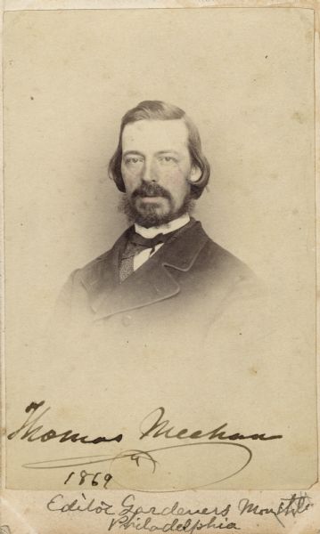 Vignetted carte-de-visite portrait of Thomas Meehan (1826-1902), American botanist. Meehan emigrated from England to Philadelphia in 1848. Served as editor to "The Gardener's Monthly" (1859-1888), and later his own "Meehans' Monthly" (1891-1902). The plant genus Meehania was named in his honor. Handwritten inscriptions at the bottom read, "Thomas Meehan, 1869," and "Editor Gardeners Monthly, Philadelphia."