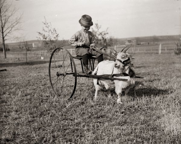 Boy, identified as Joe, driving a goat pulling a cart.