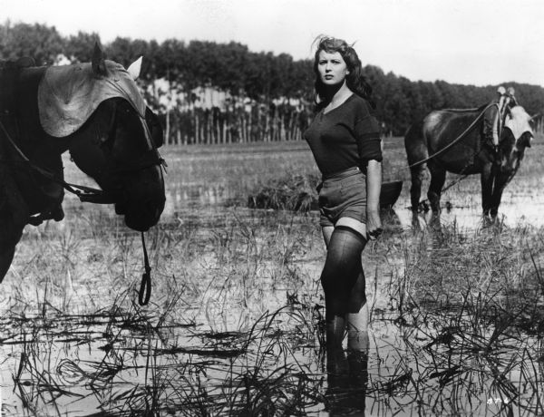 Scene still of Silvana Mangano, playing Silvana Melega, standing in a flooded rice paddy with two horses in Giuseppe De Santis's <i>Riso Amaro (Bitter Rice,</i> 1949).