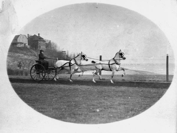 Small Buggy with Tandem Horses A one-person carriage driven by a woman is led by two tandem horses stepping in rhythm and wearing blinders. A lake (probably Lake Michigan), and shoreline with homes a hill is in the background.