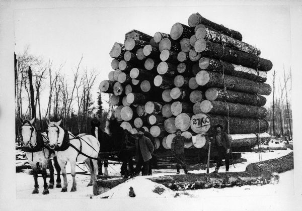A sled loaded high with logs is being pulled by four horses in the snow. Three men are posing for the group portrait.