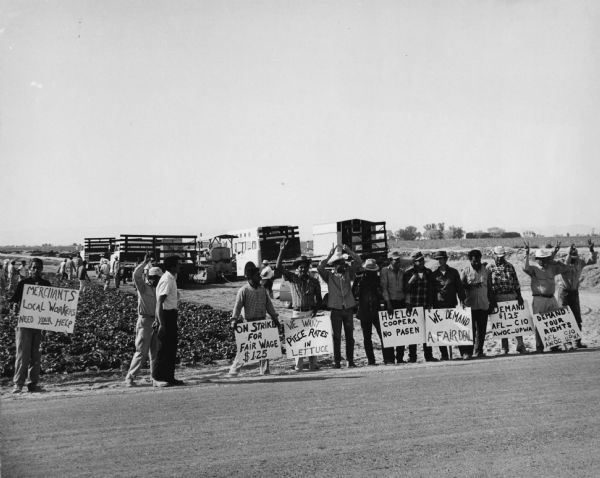 The farm workers picket line near El Centro during the important Imperial Valley lettuce strike.
