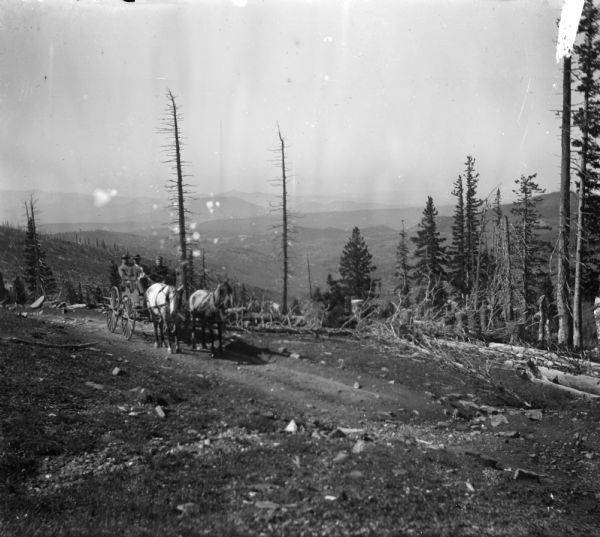 View looking down at men in a horse-drawn cart headed towards the Leighton-Wyoming mining camp on dirt road examining fallen trees, possibly from a forest fire. In the cart are Harry Dankoler, Joe Leighton and an unidentified other. In the background is a valley and mountains.
