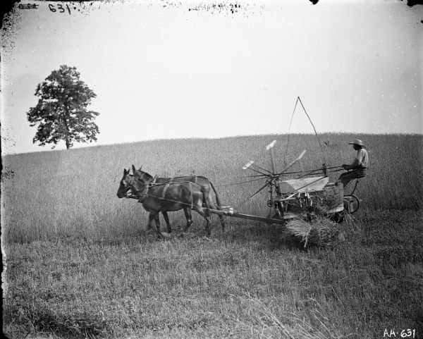 A man with a large brimmed hat riding a mule-drawn McCormick grain binder in a field with a single tree in the background.