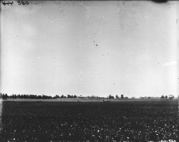 Man with Horse-Drawn Reaper Landscape view across field. In the middle distance, two people are standing near a man using a horse-drawn reaper in a field. In the far background are farm buildings and trees.