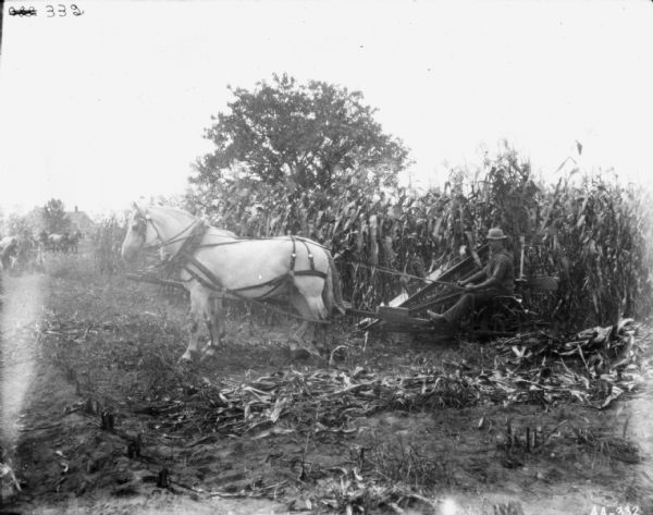 Man with Horse-Drawn Binder in Field Left side view of a man using a horse-drawn binder in a cornfield. Men are working with other horse-drawn binders in the background on the left. There is a farmhouse in the far background.