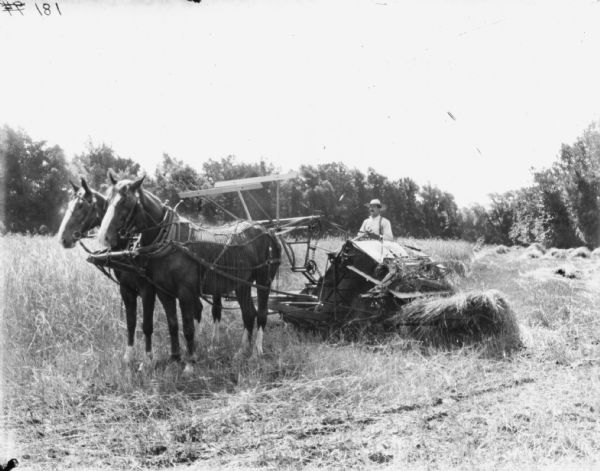 Man Using Horse-Drawn Binder in Field Three-quarter view from left front of a man using a horse-drawn binder in a field. The horses are wearing fly-nets. Trees are in the background.