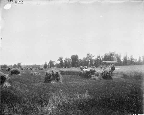 Man Using Horse-Drawn Binder View across harvested field towards a man using a horse-drawn McCormick binder to harvest.