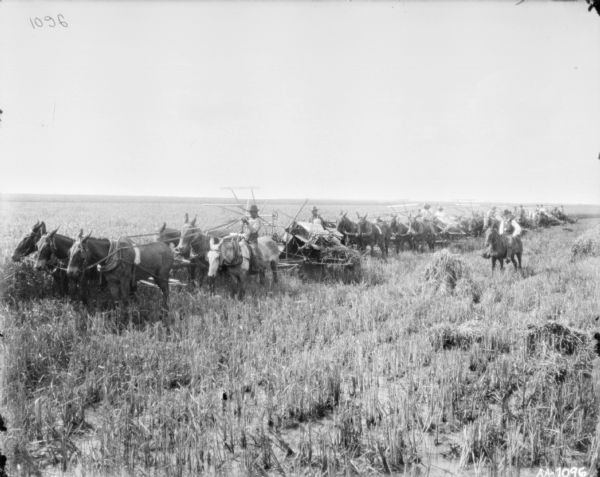 Five Horse-Drawn Binders in a Field Slightly elevated view of group of men with five horse-drawn binders in a field. There is a man on horseback on the right.