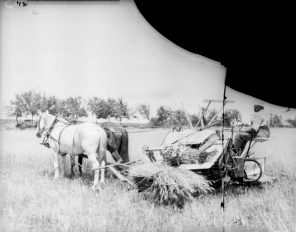 Man Using Horse-Drawn Binder Man using horse-drawn left-hand McCormick binder in a field.