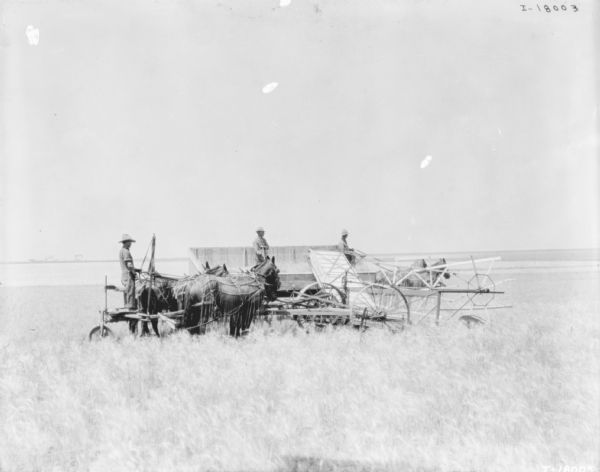 Horse-Powered Push Binder Headers Side view of man on a horse-powered push binder header in a field. The horses are wearing fly-nets. Two men are standing in a horse-drawn wagon with slanted sides in the background.