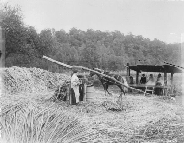 Horse-Powered Cane Mill View towards a person standing in the center near a horse-powered cane mill. Three people are working under an open-roofed structure in the background.