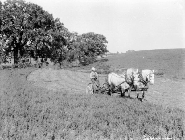Horse-Drawn Mower View down hill towards a man riding a horse-drawn mower in a field. The horses are wearing fly-nets.