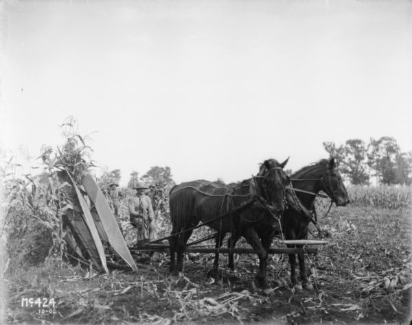 A man is operating a horse-drawn corn picker in a field. The horses are wearing fly-nets. Another man is standing in the background.