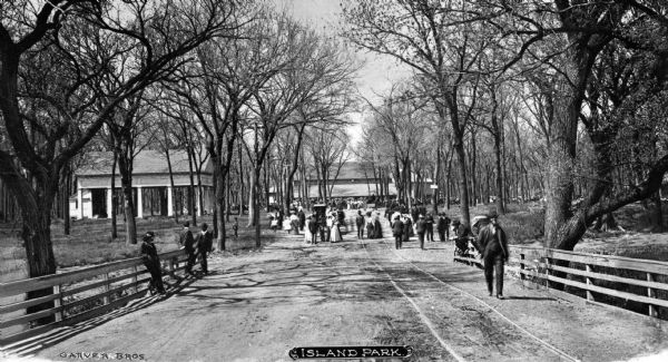 A crowd of people gathered on a road and seen from a distance in Island park.  A few people stand on the bridge in the foreground and tall trees without their leaves frame the scene.