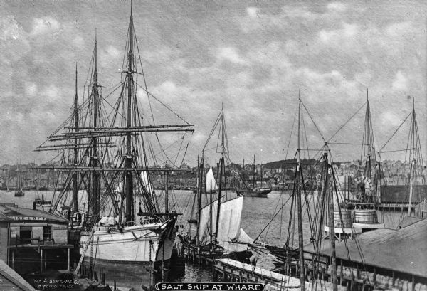 View of schooner and other boats at the wharf. The town can be seen in the distance. Text on photograph reads: "Salt Ship At Wharf." and "The Albertype Co. Brooklyn, N.Y."