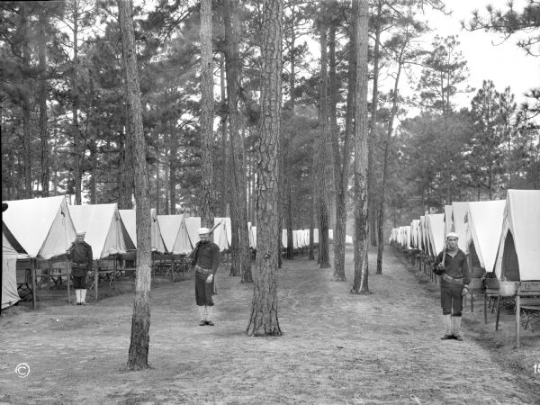 A view of three soldiers standing between rows of tents in a pine cove at a United States Naval Training Camp.