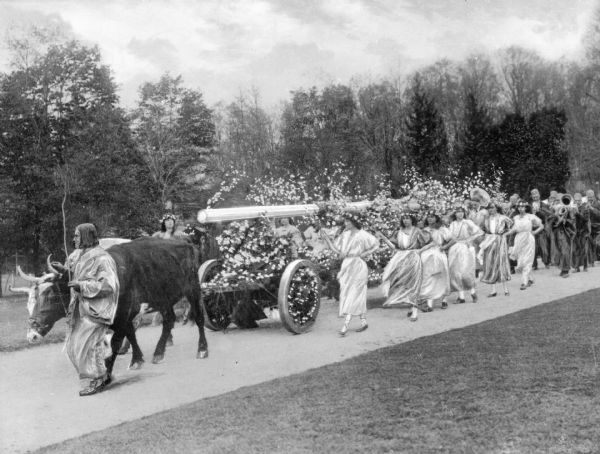 A man leads a procession with a bull carrying a long cart decorated with flowers. Women process along the sides of the cart and a band marches on the road behind them.