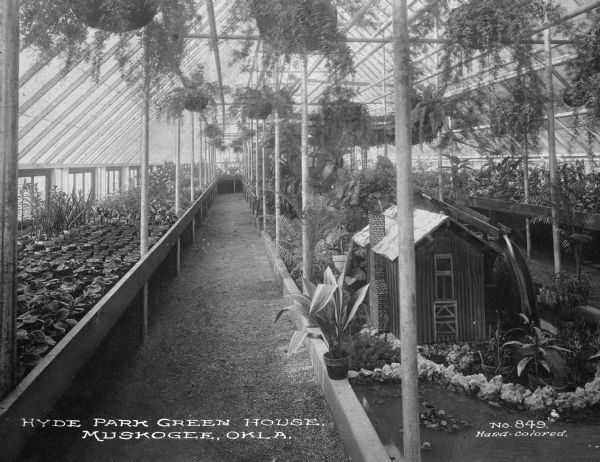 A view of the interior of  the green house. Caption reads: "Hyde Park Green House. Muskogee, Okla."