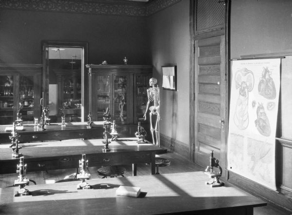A view of the biology laboratory at Seton Hill College. Long work tables have work stations set with  microscopes and cabinets in the back of the room contain assorted equipment and books. A human skeleton stands to the right near an anatomical chart.