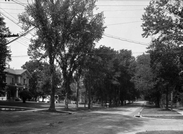A view of a tree-lined residential street with houses partially visible on the left.