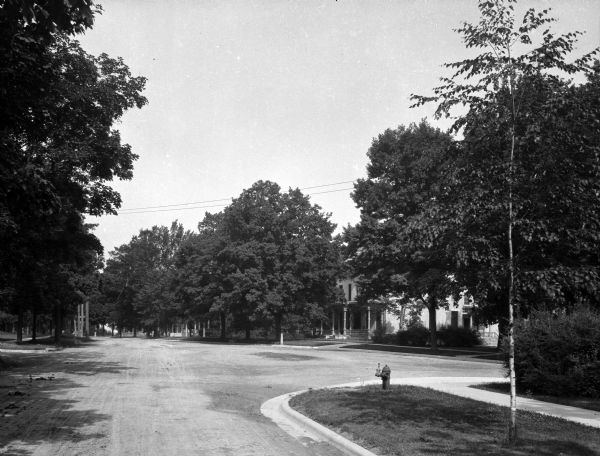 A view of an intersection of tree-lined streets in a residential area.  Homes are partially visible on the right.