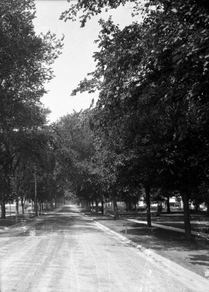 A view of a tree-lined residential street, with homes partially visible on the right.