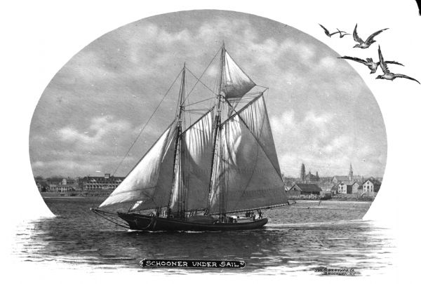 Print depicting a ship in the harbor. The image has seagulls composited into the sky and white background. Caption reads: "Schooner Under Sail" and "The Albertype Co. Brooklyn, N.Y."