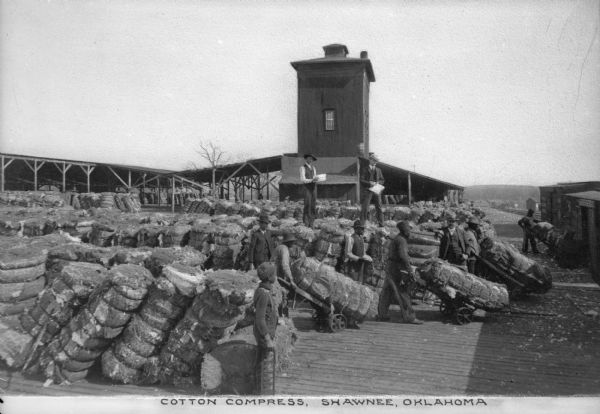 Men standing around as a number of bales of cotton are being counted on the cotton compress. Caption reads: "Cotton Compress, Shawnee, Oklahoma."