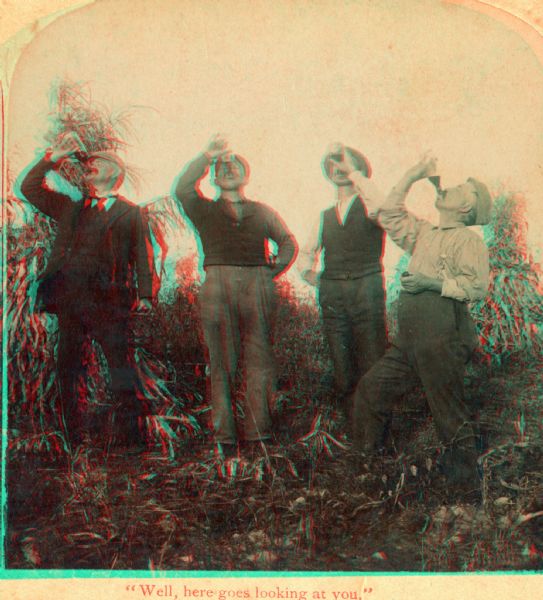 Four men guzzle beverages in a cornfield. The caption on the stereograph reads: "Well, here goes looking at you."