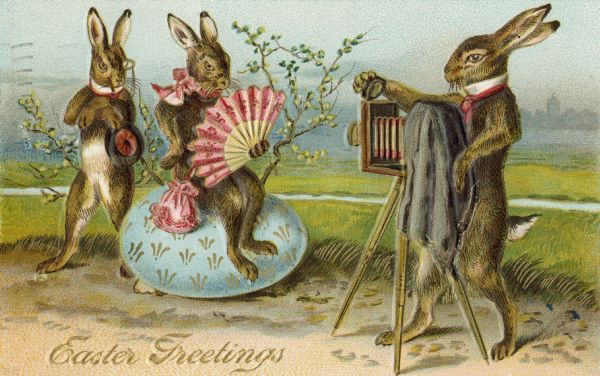 Easter postcard with a female rabbit sitting on an Easter egg and a male rabbit standing behind her. Another male rabbit is taking their picture with a camera on a tripod. The female rabbit is wearing a pink bow around her neck and is holding a pink hand fan and a pink purse. The male rabbit is wearing a collar and tie, a monocle and is holding a hat. The photographer rabbit is wearing a collar and tie. Caption reads: "Easter Greetings." Printed in full color with metallic gold ink, the images are also embossed.