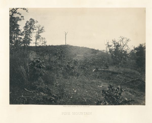 Pine Mountain with a lone, bare tree on top. Trees and shrubs are in the foreground.<br>Plate 30</br>