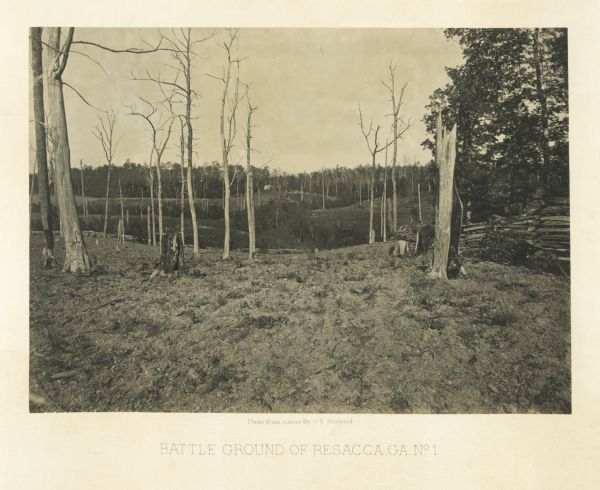 Trees stripped of bark. There is a fence on the right. In the far background is a building, perhaps a house, on a hill.<br>Plate 19</br>