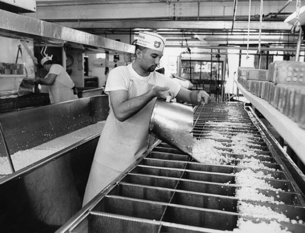 Workers are busy filling the stainless steel Brick Cheese forms with curds.